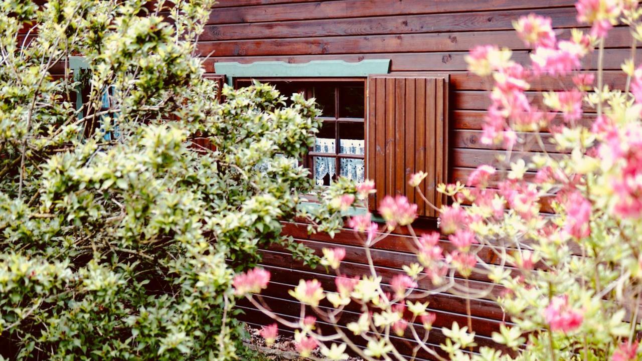 Forsthaus Luchsenburg Hotel Ohorn Bagian luar foto